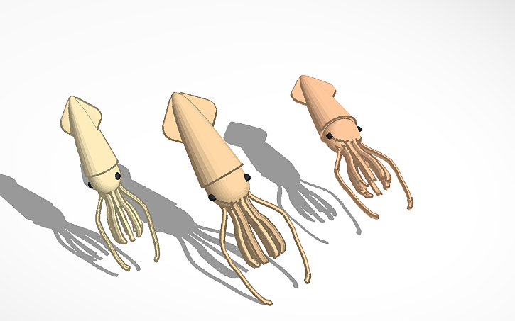 3D design SQUID - Tinkercad