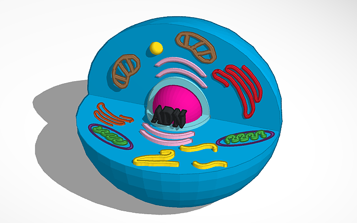 3D design celula - Tinkercad