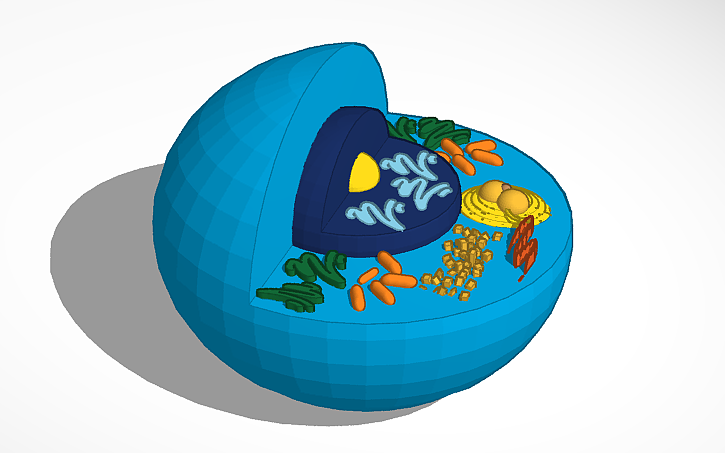 3D design Celula 3D - Tinkercad