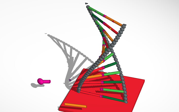 3D design Double Helix (DNA) - Tinkercad
