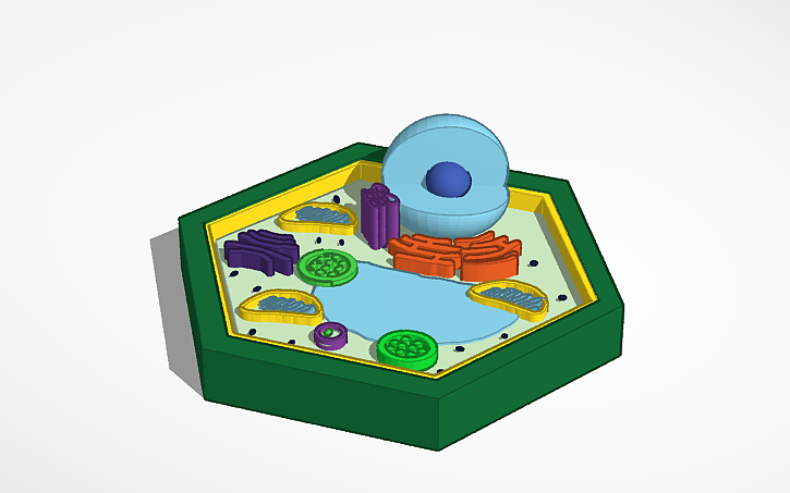 Test Cell Tinker 3D design Plant cell - Tinkercad