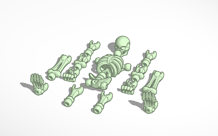 3D design Skeleton - Tinkercad