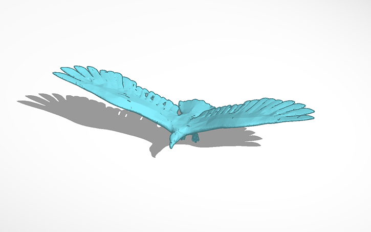 3D design Flying Eagle - Tinkercad