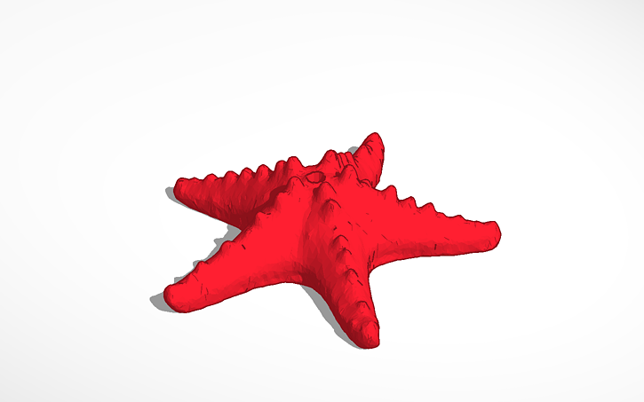 Tywls Starfish Tinkercad