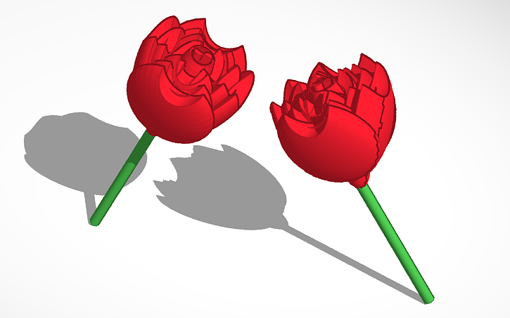 Autocad 3d Roses 3D design Rose - Tinkercad