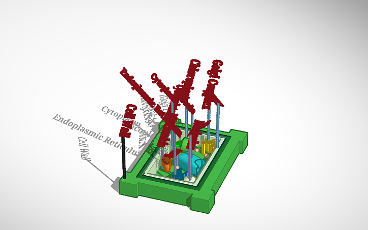 3D design lil plant cell | Tinkercad