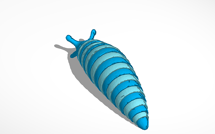 3D design Articulated Slug - Tinkercad