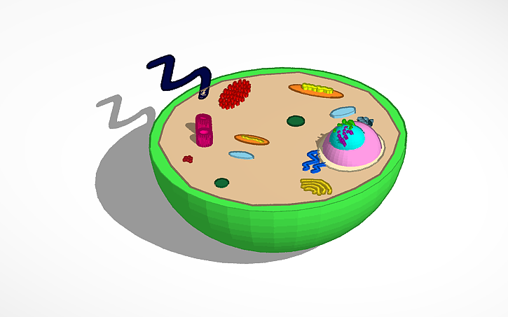 3D design Bridget Dempsey- Animal Cell - Tinkercad