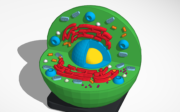 Test Cell Tinker 3D design Cell | Tinkercad