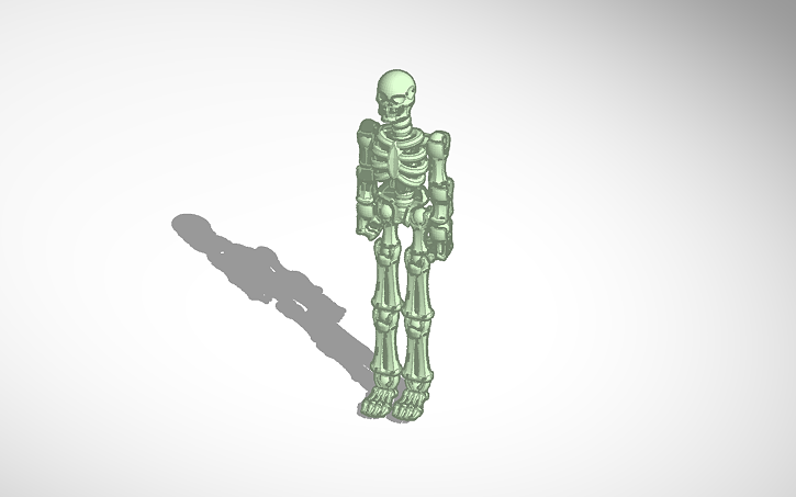 3D design Skeleton Kit - Tinkercad