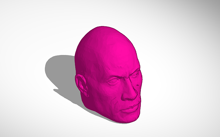 3D design The Rock's Head - Tinkercad