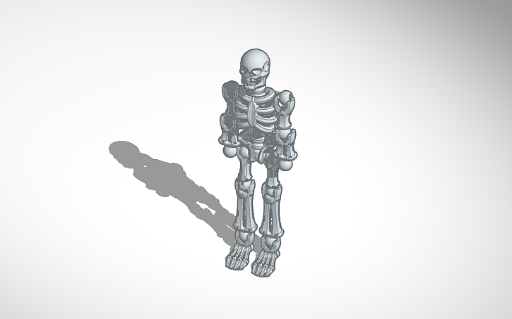 3D design skeleton - Tinkercad