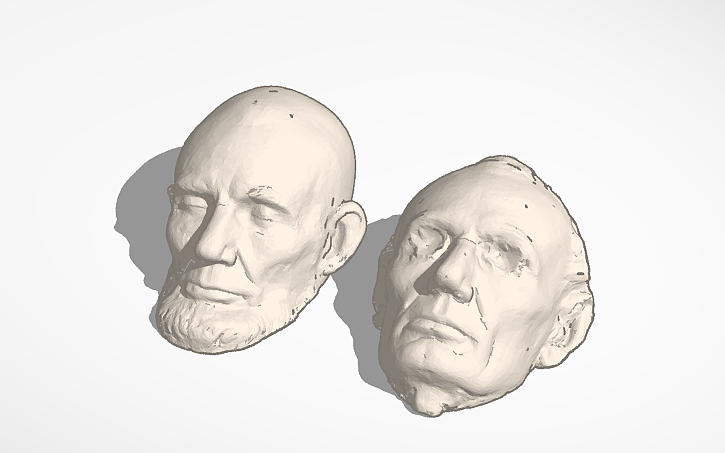 3D design Realistic heads - Tinkercad