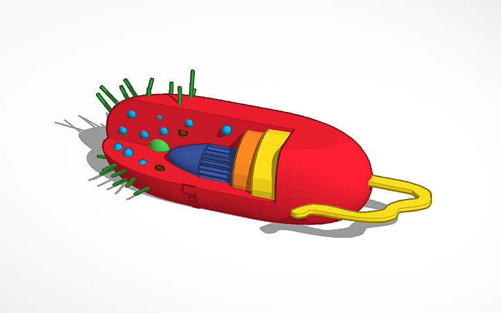 3D design Celula Procariota - Tinkercad