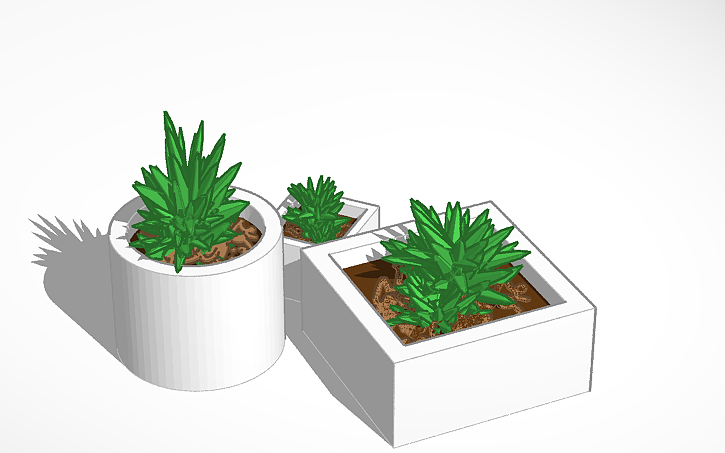 3D Design Plant Pots Tinkercad 3d-design-plant-pots-tinkercad