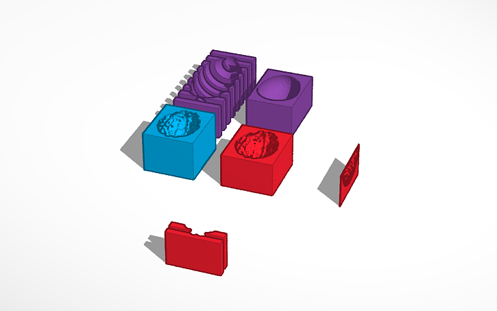 3D design full brain - Tinkercad