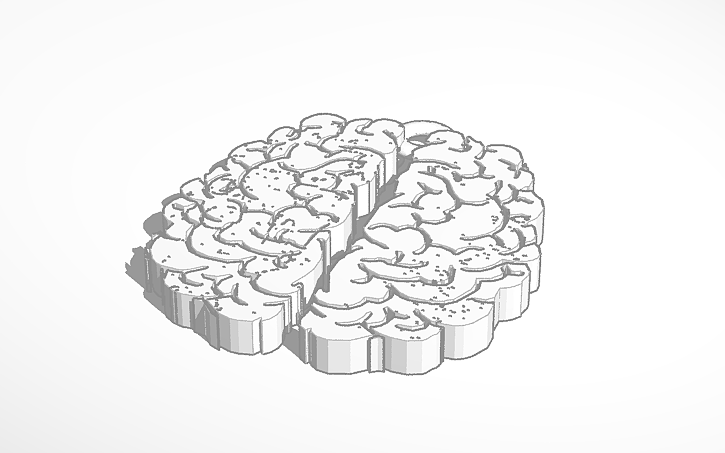 3D design Brain Keychain - Tinkercad