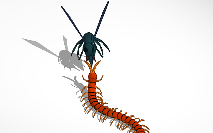 3D design Warrior wasp VS Centipede | Tinkercad