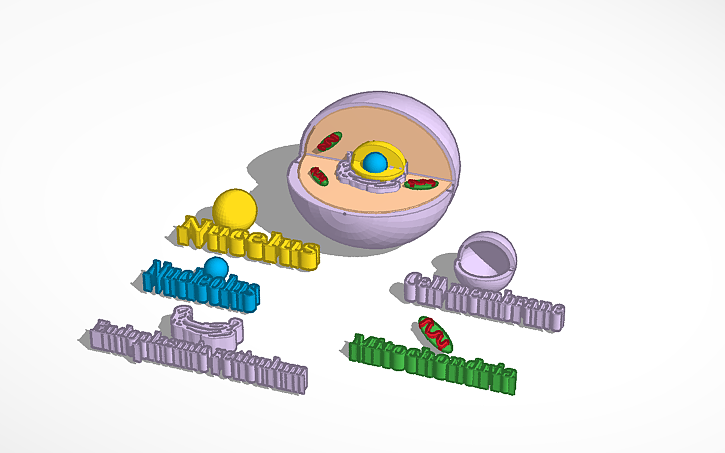 Test Cell Tinker 3D design Cell | Tinkercad