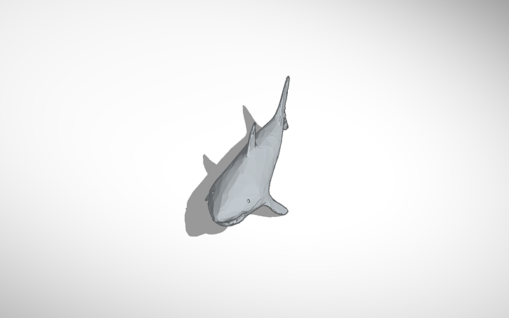 3D design Shark - Tinkercad