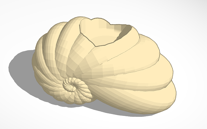 3d-design-snail-shell-tinkercad