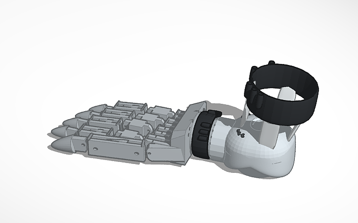 3D design Foot | Tinkercad