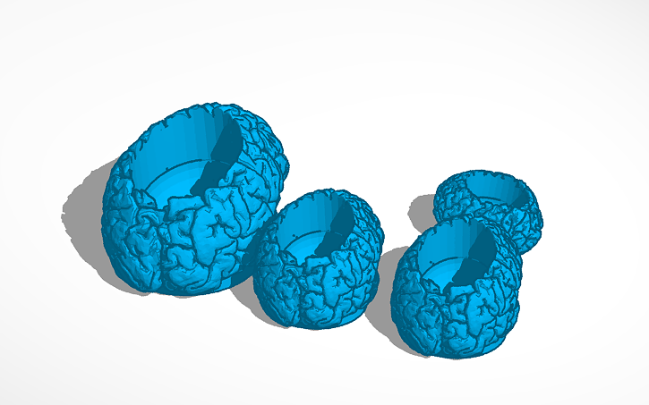 3D design Copy of Brain | Tinkercad