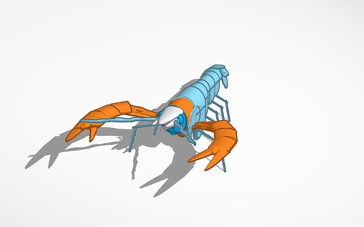 3D design Raczek :) - Tinkercad