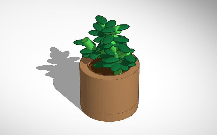 3d-design-plant-tinkercad