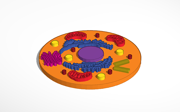 Cell Model Refrence Human Cell Model