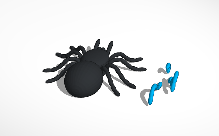 3d Design Spider Tinkercad 