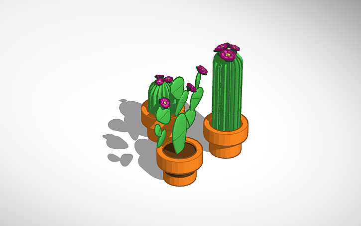 3D design Potted cacti - Tinkercad