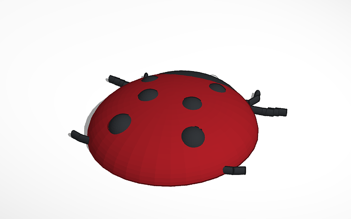 3D design Ladybug Insect | Tinkercad