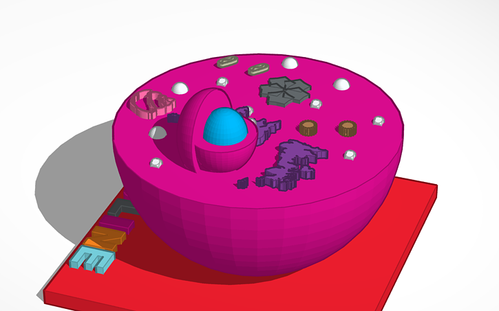 Test Cell Tinker 3D design Animal Cell | Tinkercad