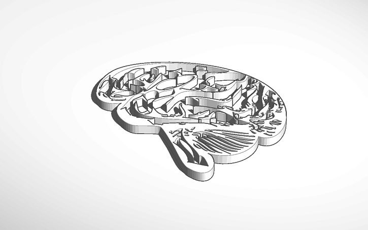 3D design Copy of brain - Tinkercad