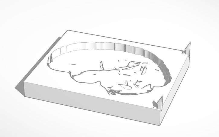 3D design The Brain part 1 | Tinkercad