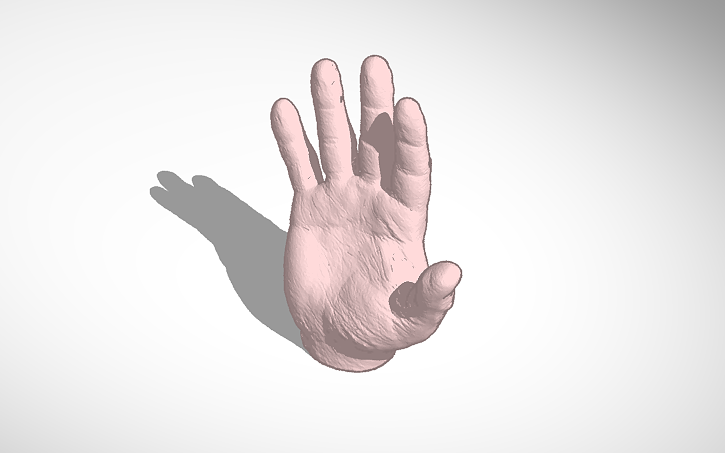 3D design Human hand - Tinkercad