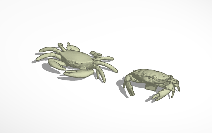 3d Design Beach Crab Tinkercad